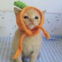 Carrot emote