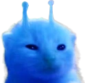 blorp emote