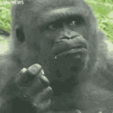 concerned animated emote