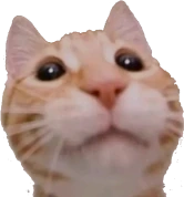 gabe emote