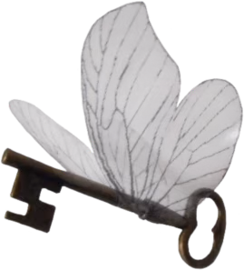 fairy_key emote