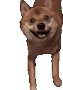 DogDance animated emote