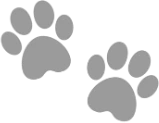gray_paw_prints emote