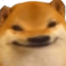doge_5head emote