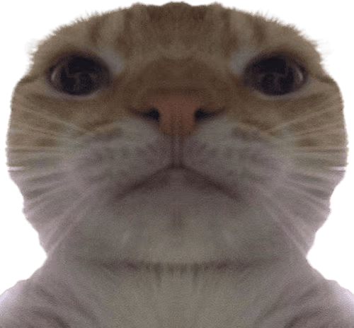 Swag_Cat emote