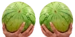 Melons emote