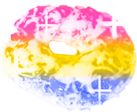 PansexualPrideBagel emote