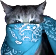 cyan_bandana_cat emote