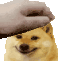 CheemsPet animated emote
