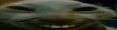 xddd emote