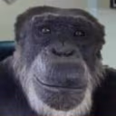 George emote