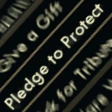 pledge_to_protect emote