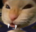 nyehehehe emote