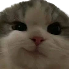 nhechmep emote
