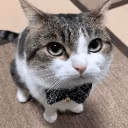 ButTheLordLaughsAtTheWickedForHeKnowsTheirDayIsComing emote