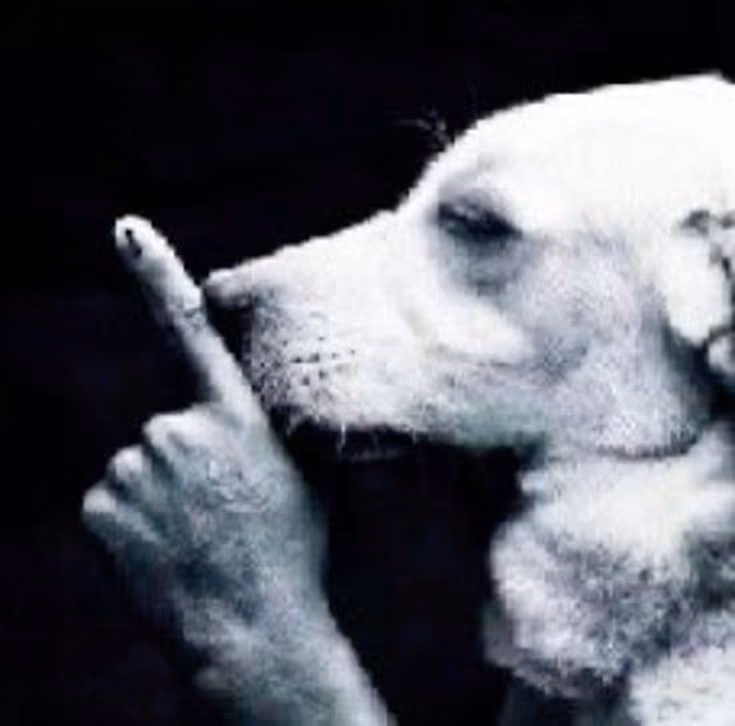 silencio1982 emote