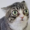 AlrightWHAT static emote