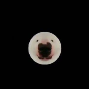 nikel212 avatar