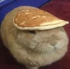 Coelhopanqueca static emote