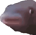 MMMMLeave animated emote