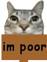 nomotion emote
