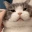 meomiu emote