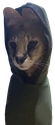 insognitofloppa emoji