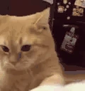 ouch emote