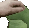 worryPet emote