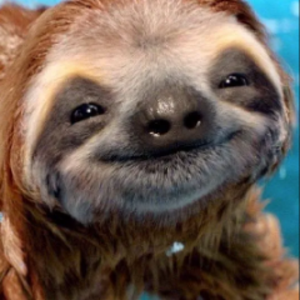 st3rculus avatar