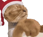 Shoo emote