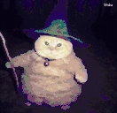 fatasswizardcatshiftsintowaifu emote