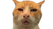 Huh emote