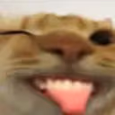 SillyChamp emote