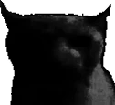 Sadbruhcat emote