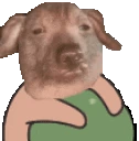 creatureBall emote