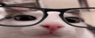 plinkge emote