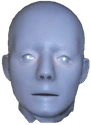 plasticBruh emoji