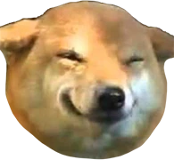 smile_doge emoji