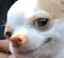 Dog_Satisfied_Smirk emote