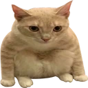 catSit emote