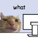 pc emote