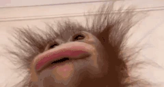 uuwuu emote