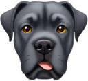 canecorso emote