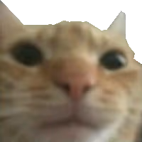 gusictransparent emote