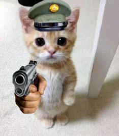 cat_cop emote