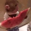 monkeyeat emote