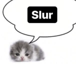 Slur emote