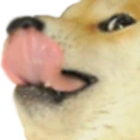 dogeLick emote