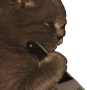 36_KittenShank emote